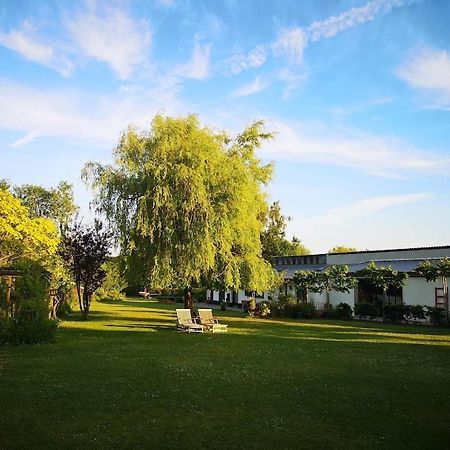 Gite Du Chateau D'Hardelot A Condette Экстерьер фото